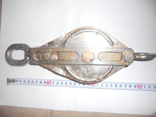 k272807769.1