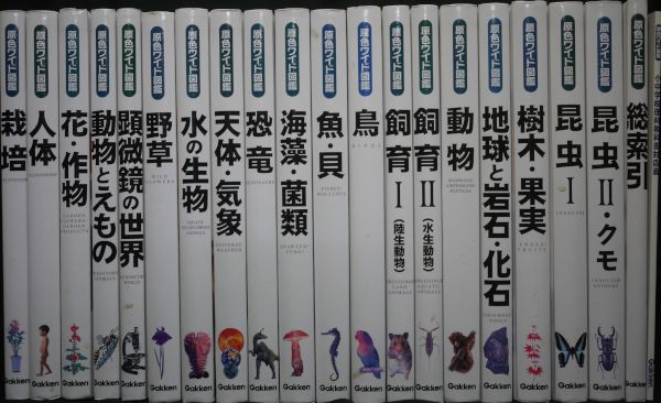 e) 学研 原色 ワイド図鑑 19冊+総索引+教科書対応表付[50]2185