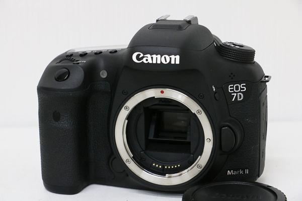 t499821636.1