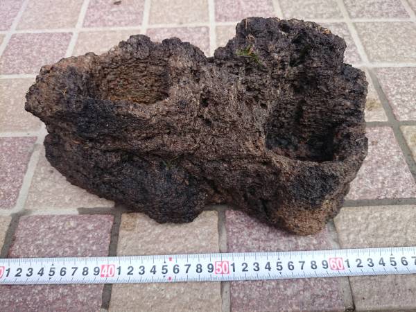 ADA・特大の雲山石