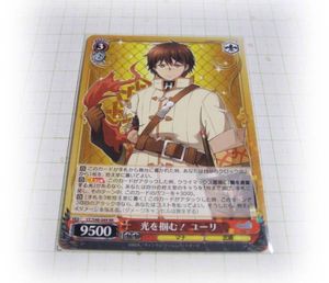 共に生き、共に戦い フィーナ sp サイン ヴァイス チェインクロニクル 共に生き、共に戦い フィーナ sp サイン ヴァイス チェインクロニクル