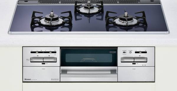 t499060207.1