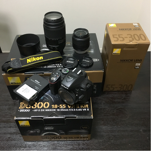 ☆美品 付属品完備☆Nikon ニコン D5300 ダブルズームキット 液晶保護シート、フィルター付き
