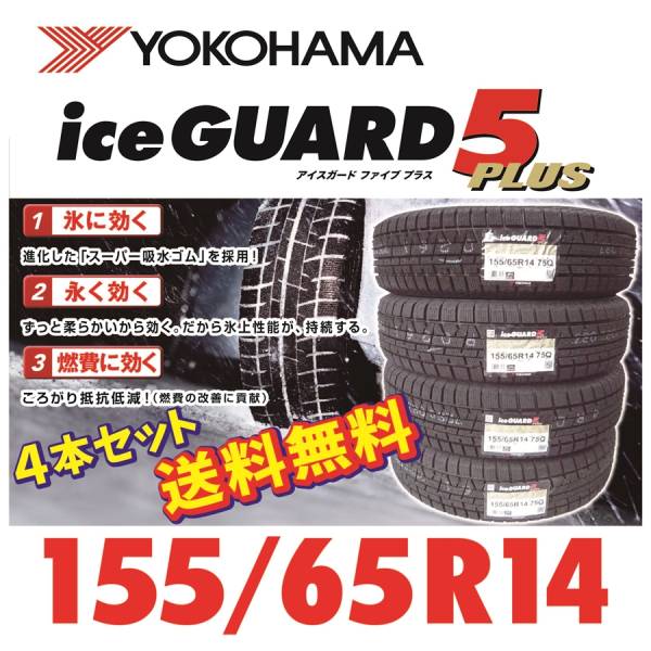 m231651539.2