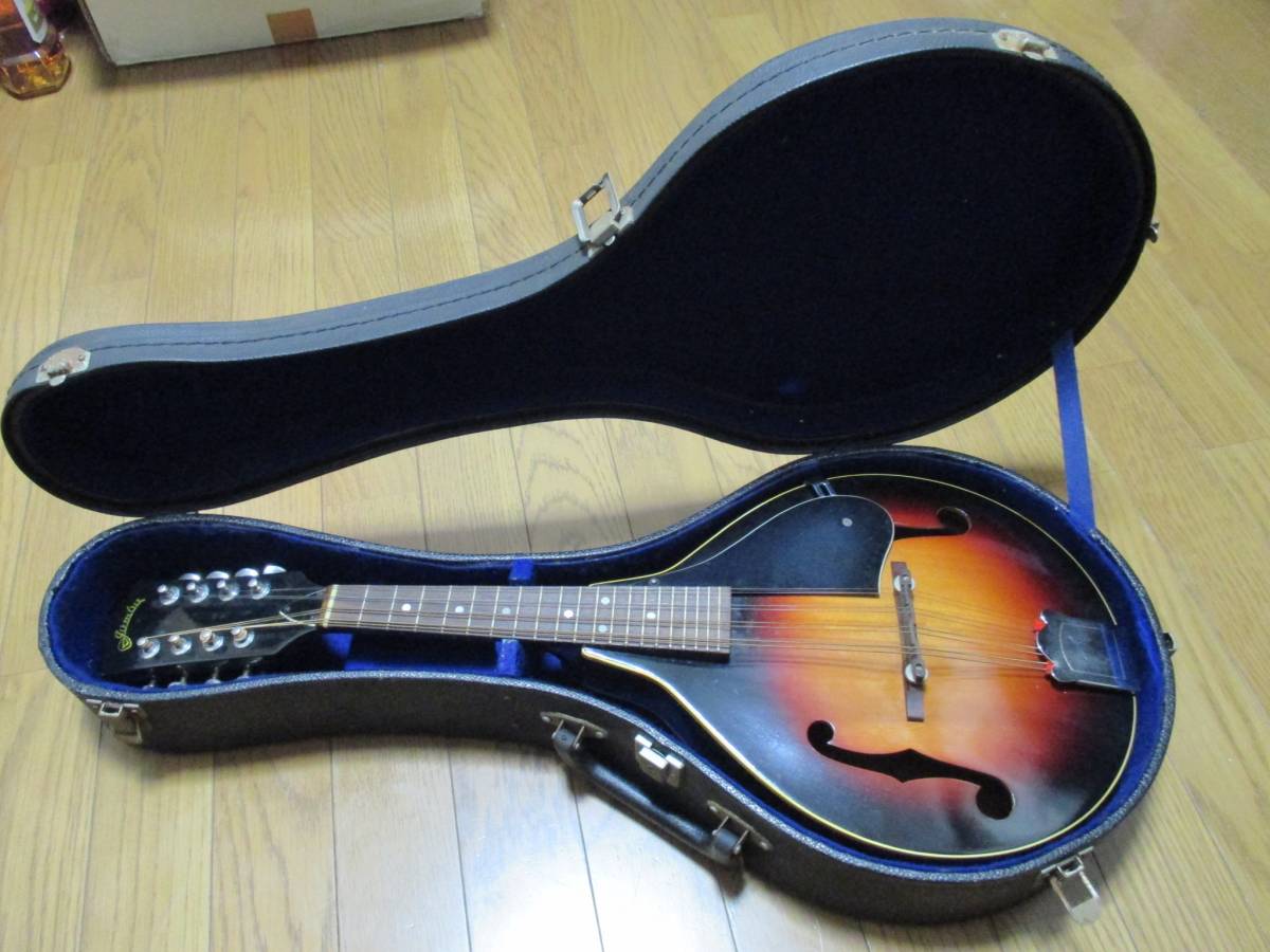 フラットマンドリン ジャンボ JUMBO Jumbo - マンドリン 田原楽器