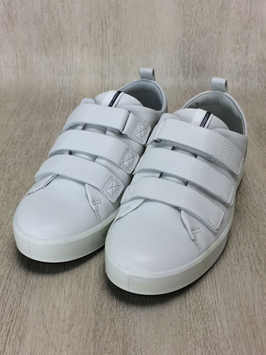 x465973816.2