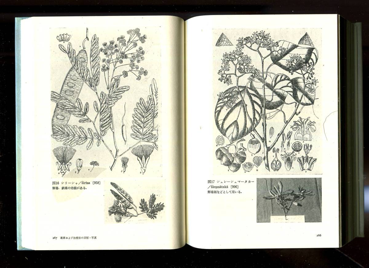 『インド医学概論 チャラカ・サンヒター』インド医学・アーユルベーダ医学の原典初の訳書