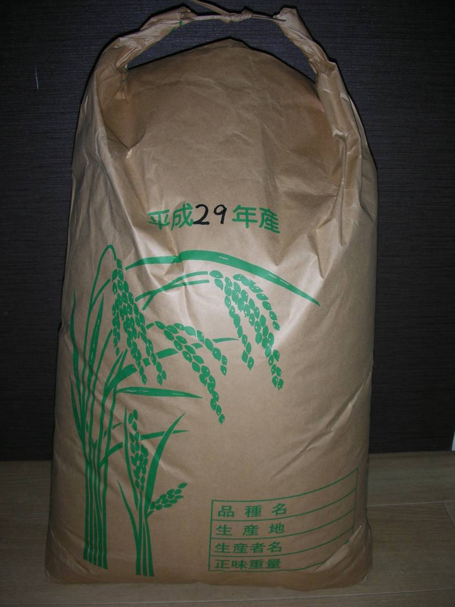 新米 令和6年産 コシヒカリ(福井米) 玄米30kg 新 発売 平成 新米 令和6年産 コシヒカリ(福井米) 玄米30kg 新 発売 平成