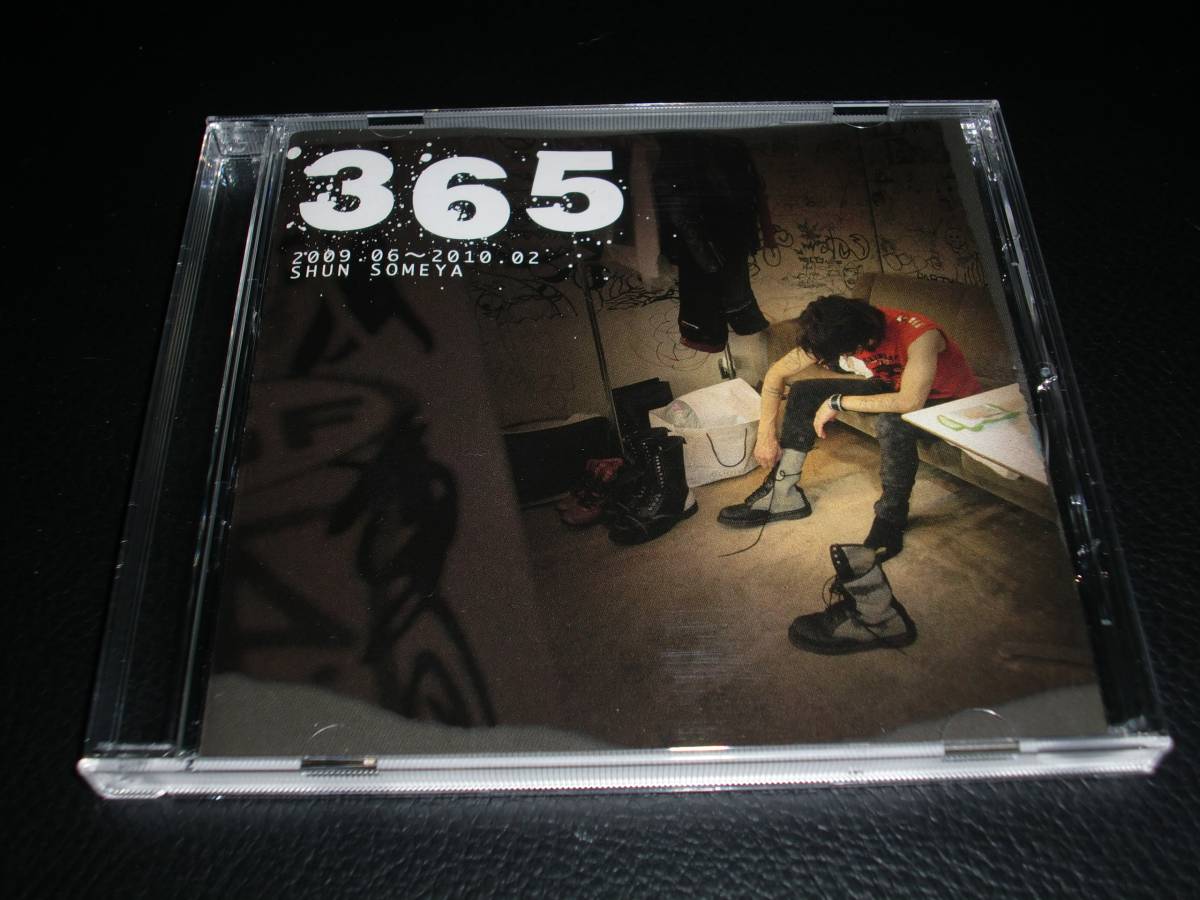 ❤️美品★染谷俊「３６５」ドキュメントＤＶＤ★全２枚セット★２００９～２０１１年 染谷俊 「365」2009.06～2010.02◇ドキュメントDVD