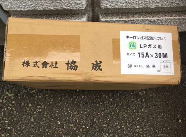 s518273753.2