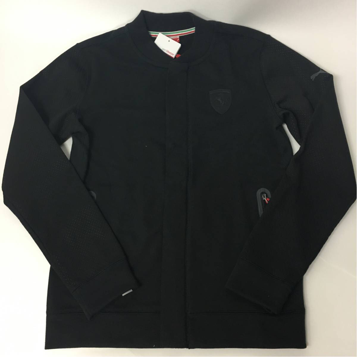 t488961080.2