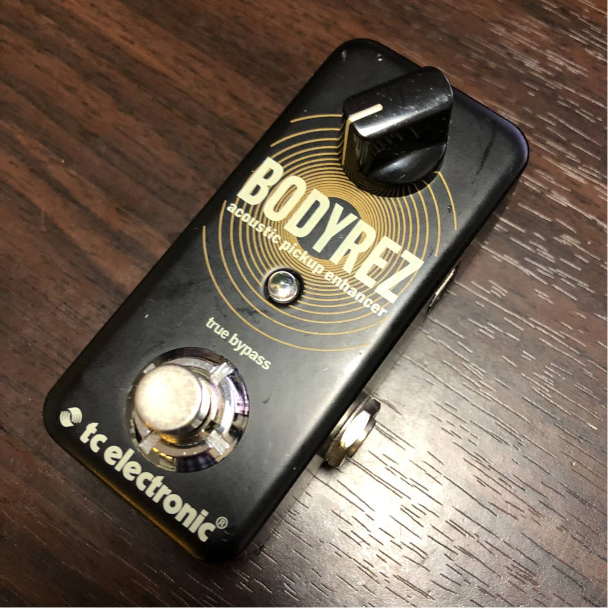 electronic BODYREZ BodyRez アコースティック エンハンサー 