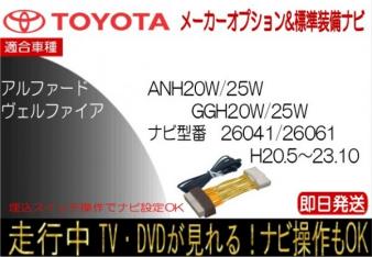 t503003568.1