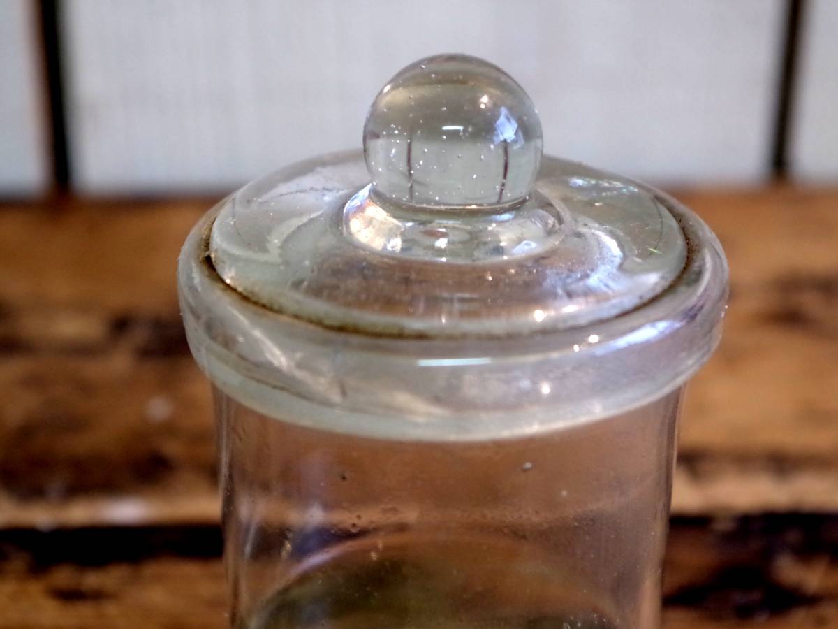 古いガラスの標本瓶に入った「ヤモリ」標本 / 剥製 ホルマリン 理科