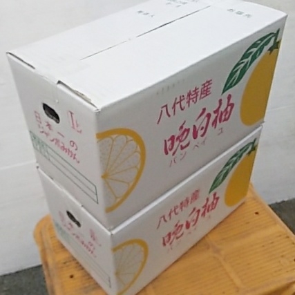 x519098420