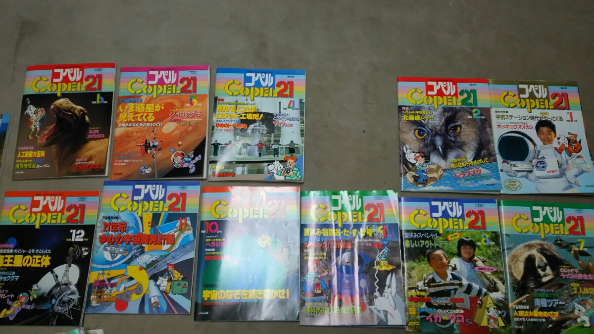 コペルワーク 6才1月号 〜12月号 12冊 コペルプラス パワー