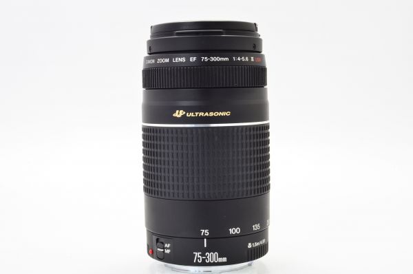 J76 美品 Canon キヤノン EF 75-300mm F4-5.6 III USM 望遠ズーム