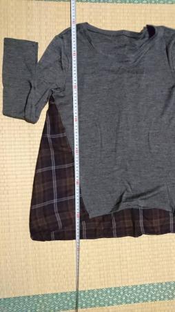 PINORE チュニックカットソー・40 ピノーレ PINORE ハートのチュニック 