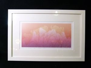 ☆笠井正博 Neptune 80部限定 版画 絵画 サイン付き 美品 笠井正博