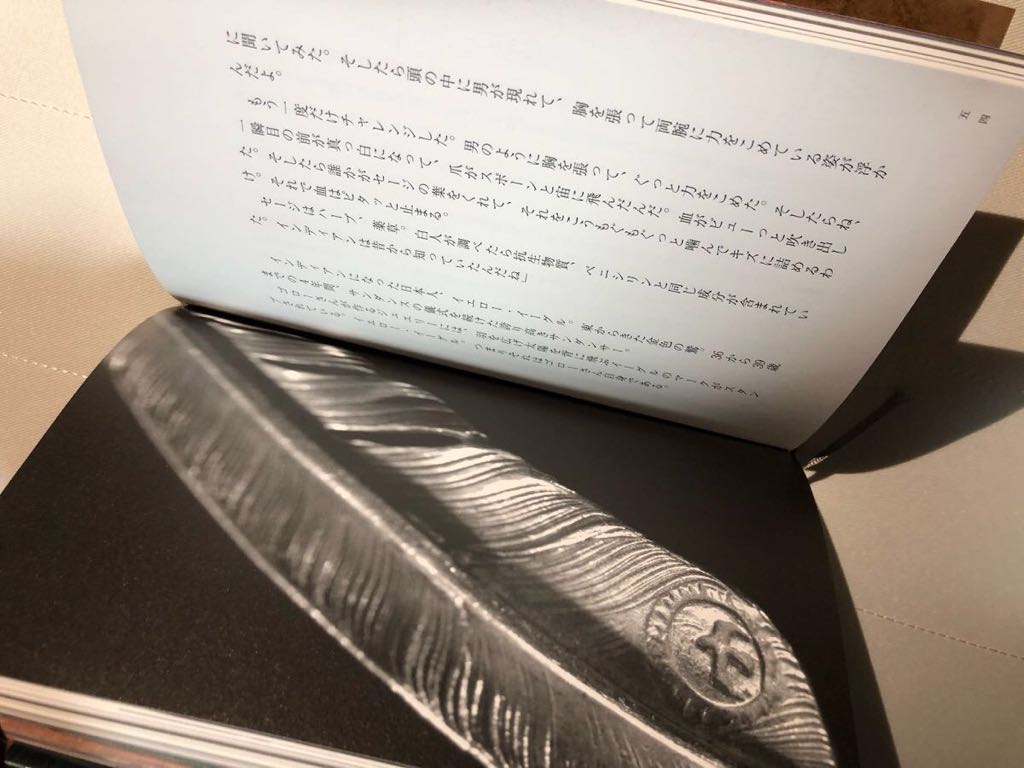 ☆絶版☆goros ゴローズ 本 高橋ゴロー イエローイーグル☆先金