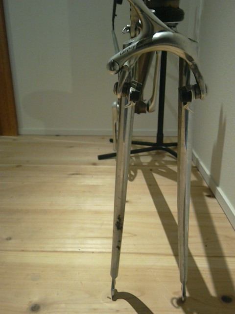 F.MOSER JUNIOR