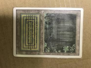リバイズド Bayou 英語版 状態MP程度　mtg Bayou MTG リバイズド 英語版 英語1 mtg 状態MP程度 NM-]Bayou《英語