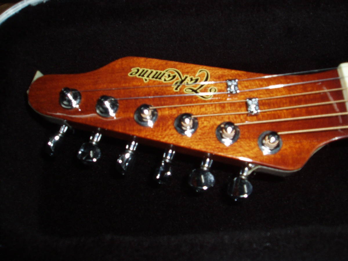 タカミネTDP515-6BL 未使用品　純正ハードケース