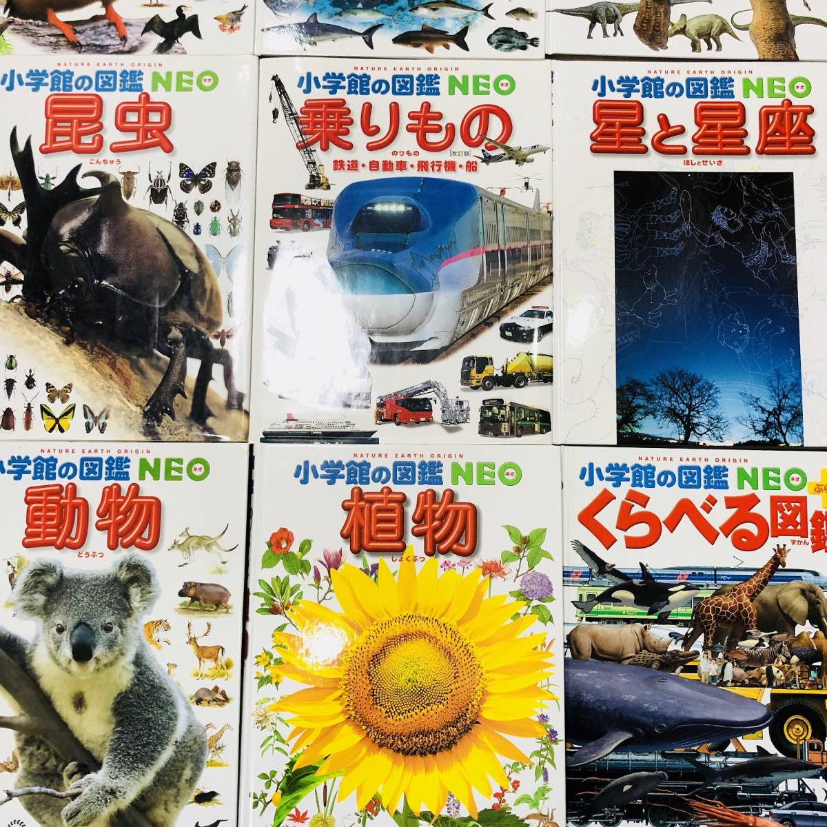 小学館 図鑑NEO 10冊セット NEO8冊＋プレNEO2冊 せいかつの図鑑 :