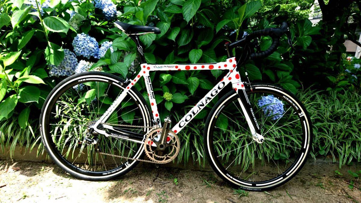 ☆高コスパ☆COLNAGO C59(コルナゴ C59)カンパ レコード ☆高コスパ☆COLNAGO C59(コルナゴ C59)カンパ レコード