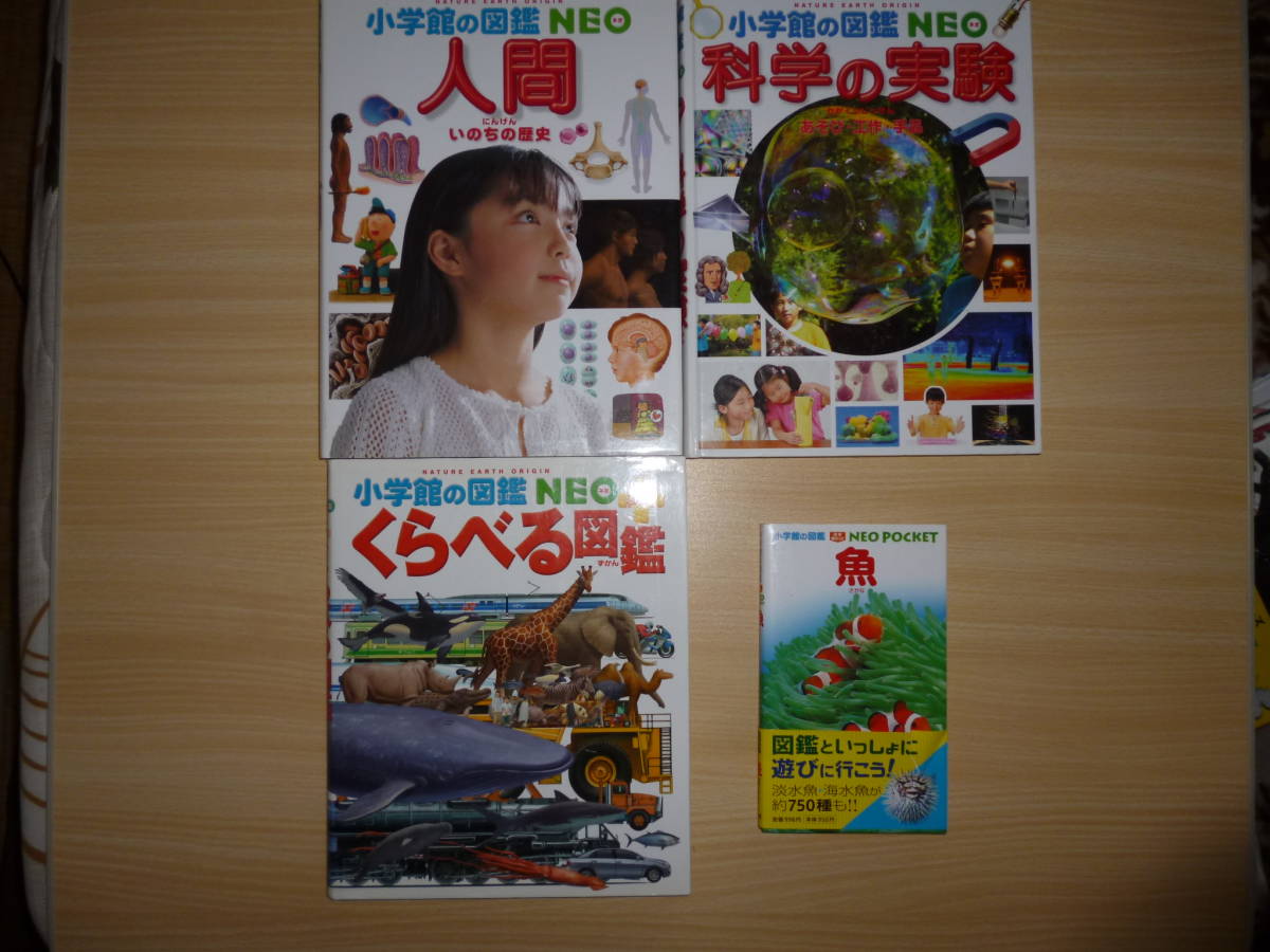 昆虫 小学館の図鑑NEO 小池 小野 啓一, 動物 DVD付 NEO) (小学館の図鑑 