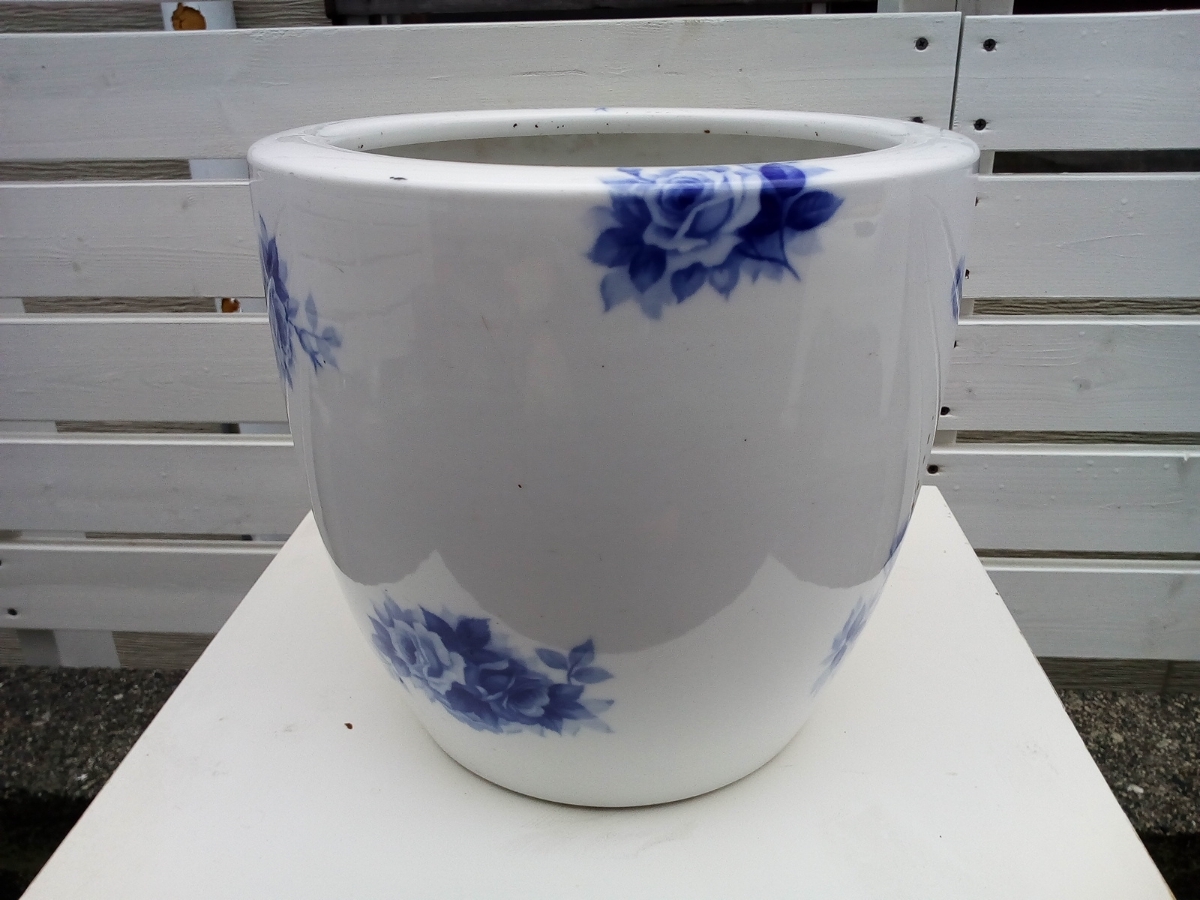 188 館林源右衛門 赤濃牡丹絵 コーヒー碗皿 共箱 館林源右衛門 カップ