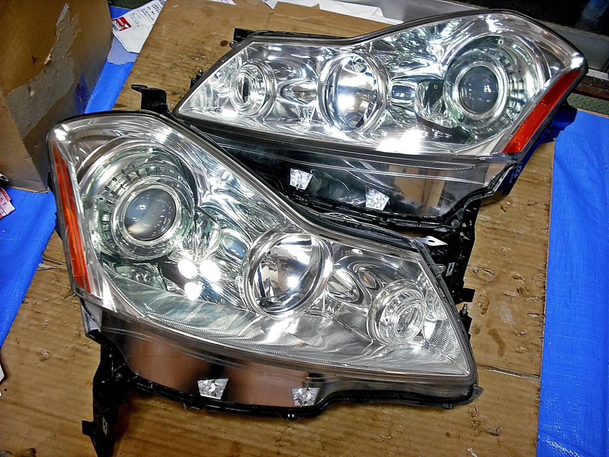 美品 純正 PY50 フーガ 350GT 後期 Y50 HID キセノンヘッド 美品 純正 PY50 フーガ 350GT 後期 Y50 HID キセノンヘッド