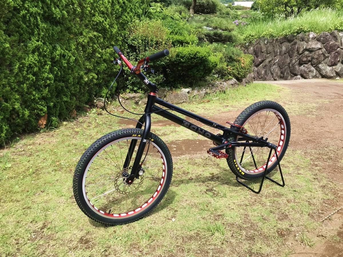 ECHO 24インチ バイク 詳細 : まめつぶ.サイクル Echo 24in 自転車 BMX 