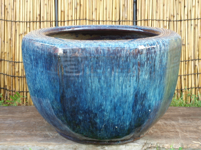 睡蓮鉢 火鉢 めだか鉢 めだか（種類（植木鉢）睡蓮鉢）の通販 軽くて