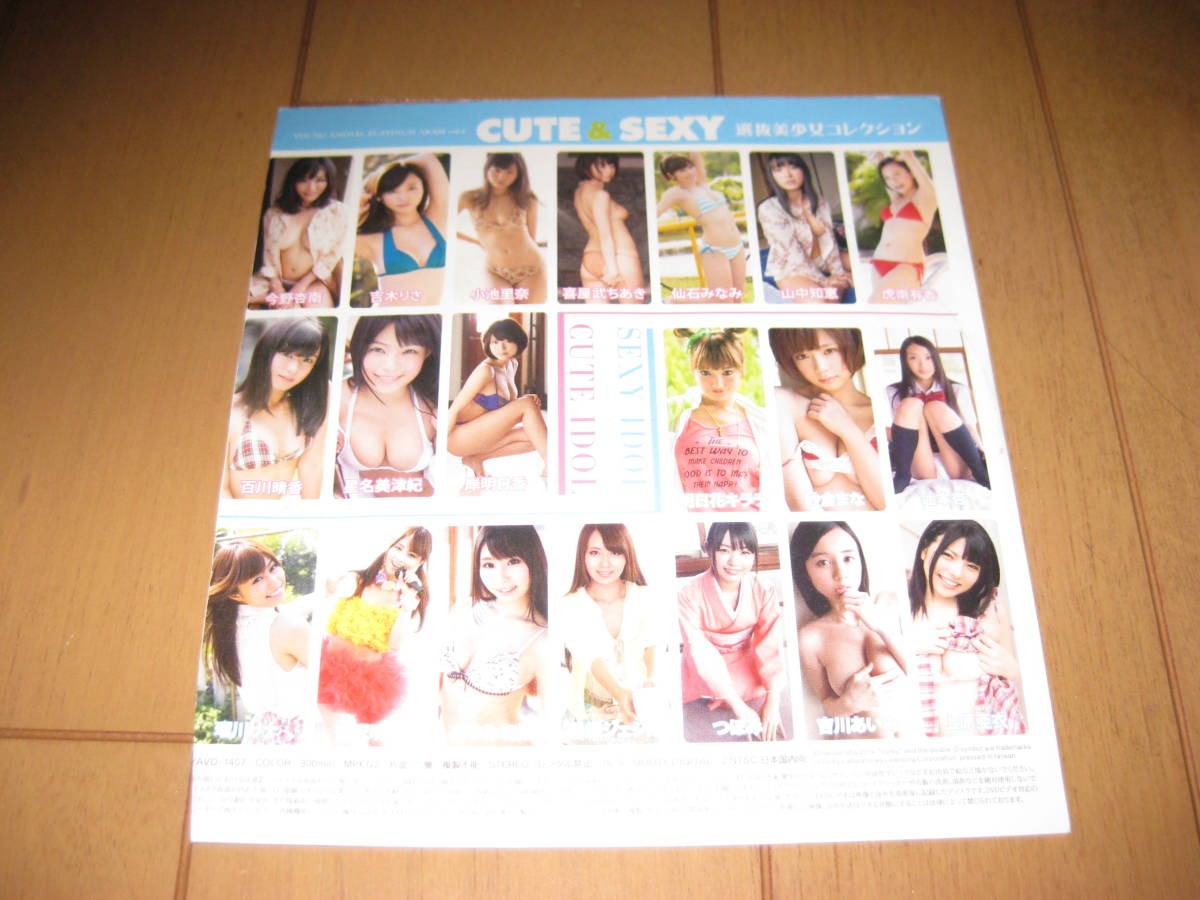 ヤングアニマル増刊2014 プラチナ嵐vol.6 特別付録 CUTE&SEXY 選抜美少女コレクション_1