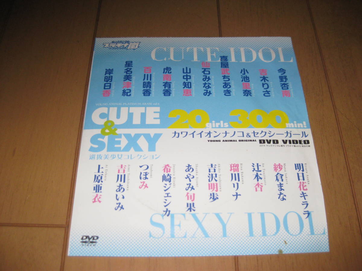 ヤングアニマル増刊2014 プラチナ嵐vol.6 特別付録 CUTE&SEXY 選抜美少女コレクション_2