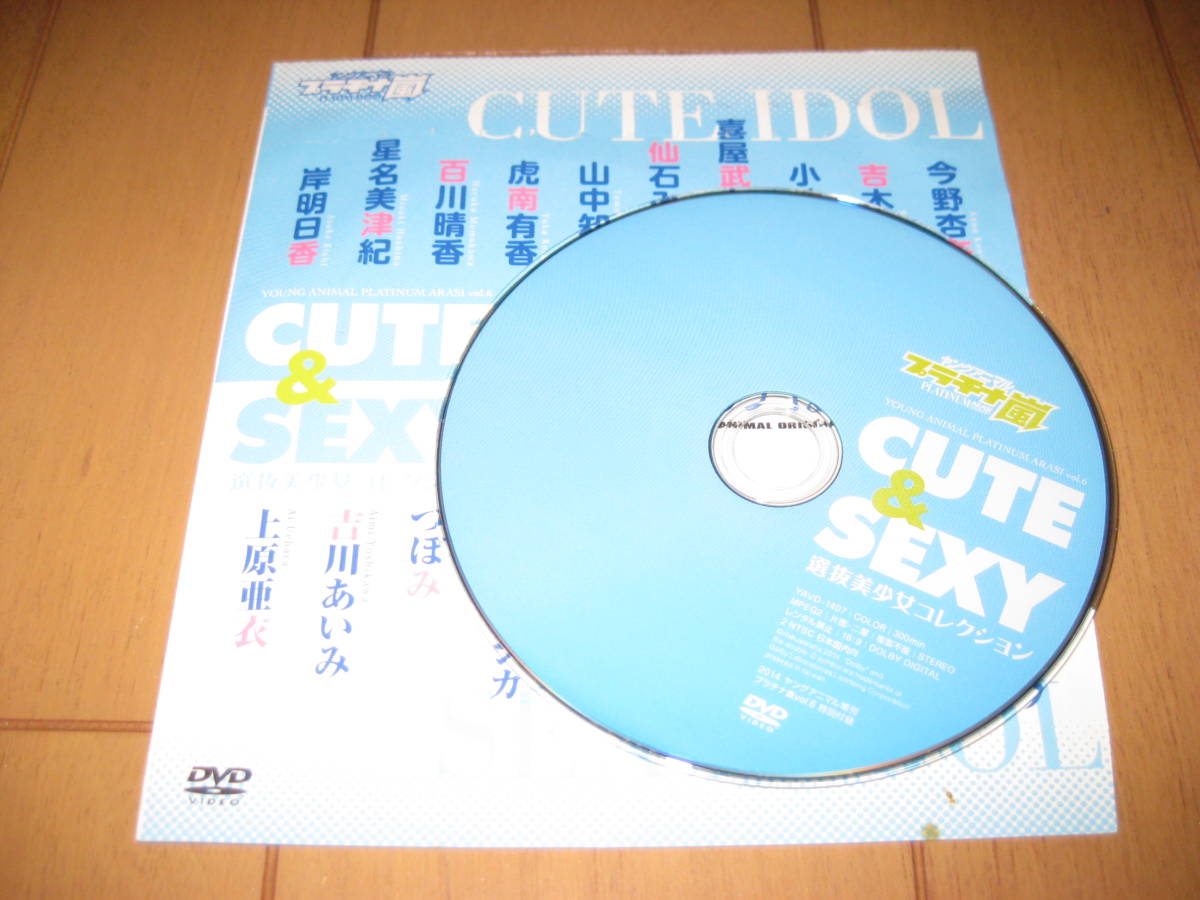 ヤングアニマル増刊2014 プラチナ嵐vol.6 特別付録 CUTE&SEXY 選抜美少女コレクション_6