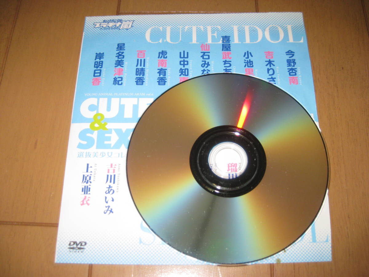 ヤングアニマル増刊2014 プラチナ嵐vol.6 特別付録 CUTE&SEXY 選抜美少女コレクション_7