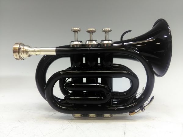 YTR-234 S336 YAMAHA ヤマハ トランペット YTR-234 ケース付き YTR-234 S336 YAMAHA ヤマハ トランペット YTR-234 ケース付き