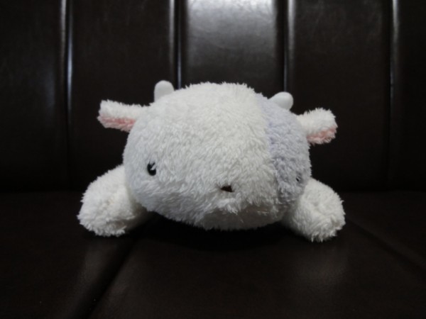 うし 牛 ぬいぐるみ まつもと きゅうてぃ ふぁーむ フリッカ Yahoo