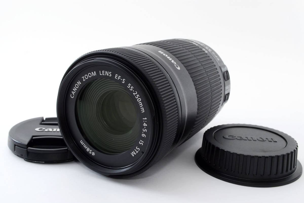 付属品有】キヤノン用 TAMRON タムロン AF 18-270mm F/3.5-6.3 Di Ⅱ 