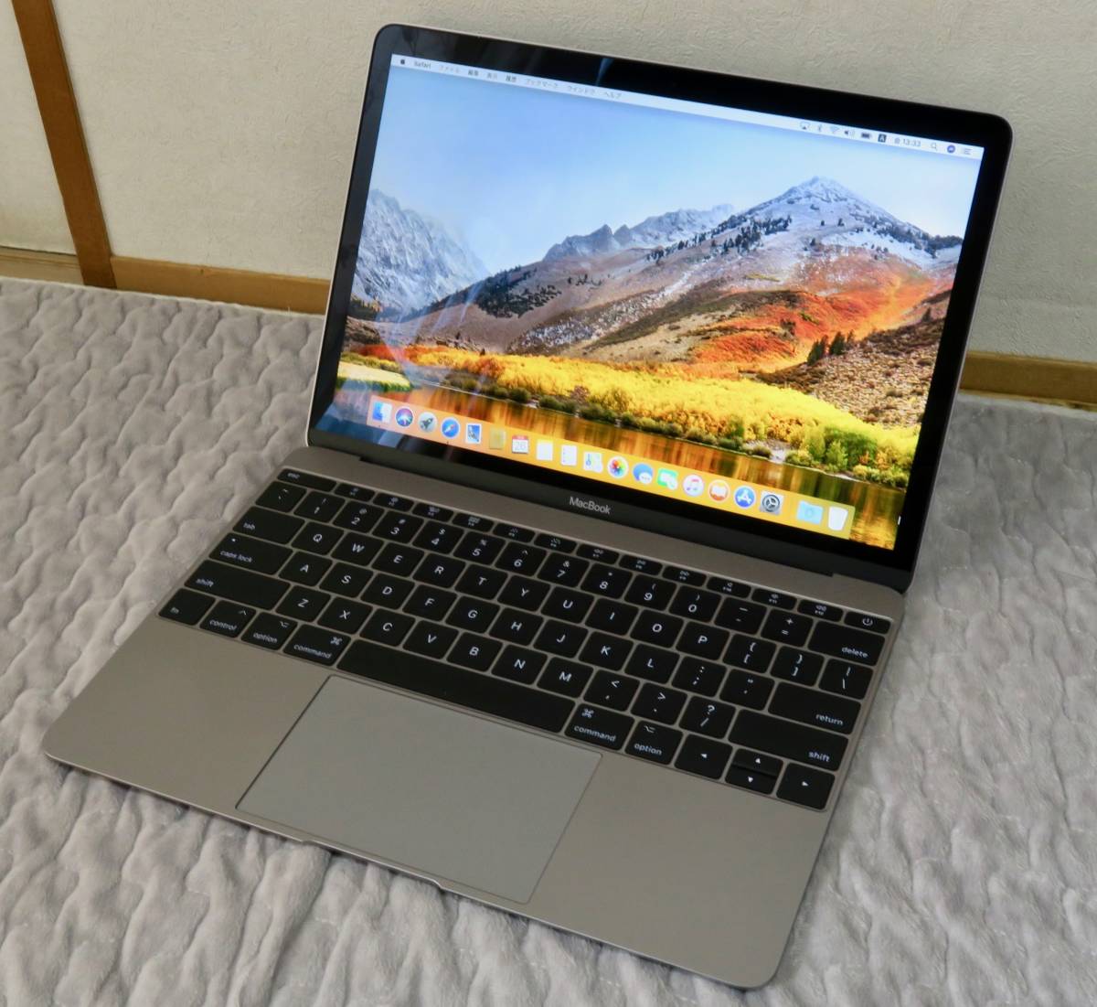 Apple MacBook 12インチ 2017モデル スペースグレー i7 16GB 256GB 準 