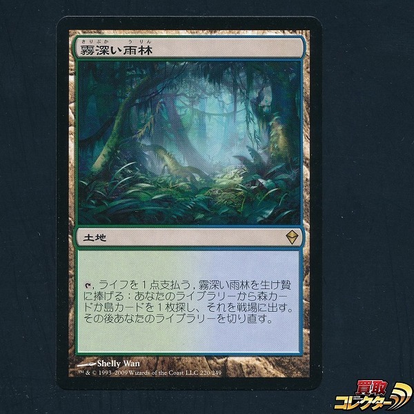 n B926o MTG 霧深い雨林 Misty Rainforest 日本語版 1枚 ZEN 土地 モダン