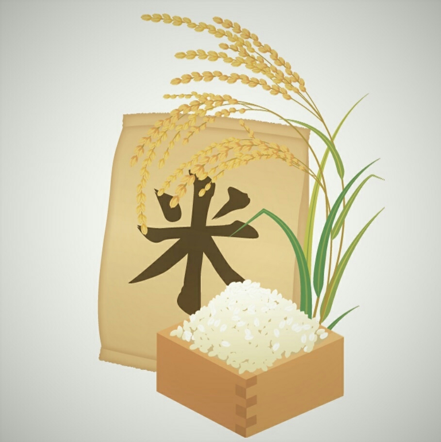 北信州みゆき野 木島平産コシヒカリ 15kg 令和7年産】北信州みゆき