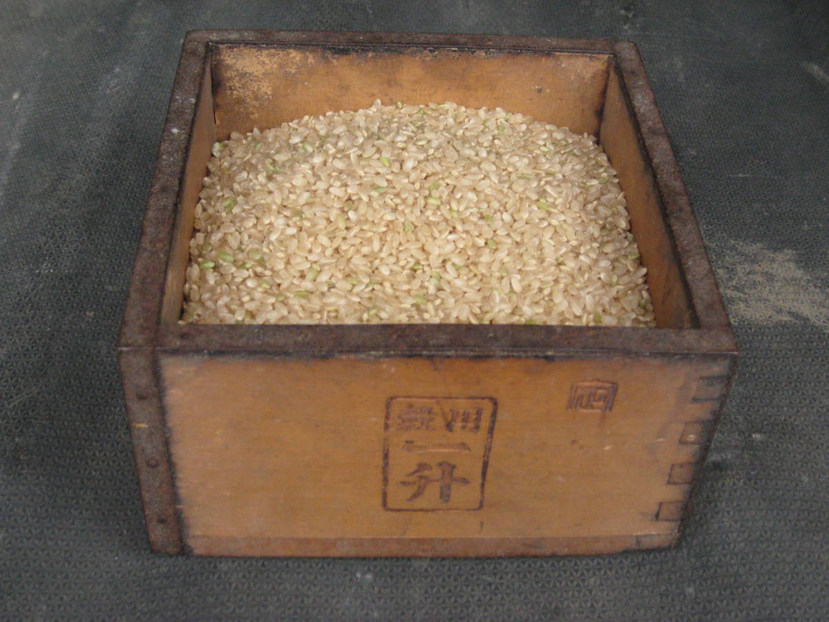 新年を新米で! 平成30年産近江米キヌヒカリ 30キロ袋