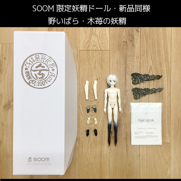 【SOOM レア・野いばらの妖精】男の子 新品同様・1/6 球体関節人形★クリスマスプレゼントに★入手困難な限定ドールです！