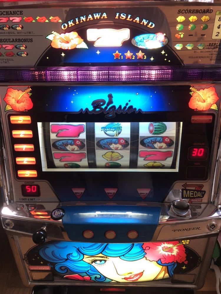PIONEER Okinawa 4号機 ビッグシオ30 パイオニア 実機 【中古】希少 裏