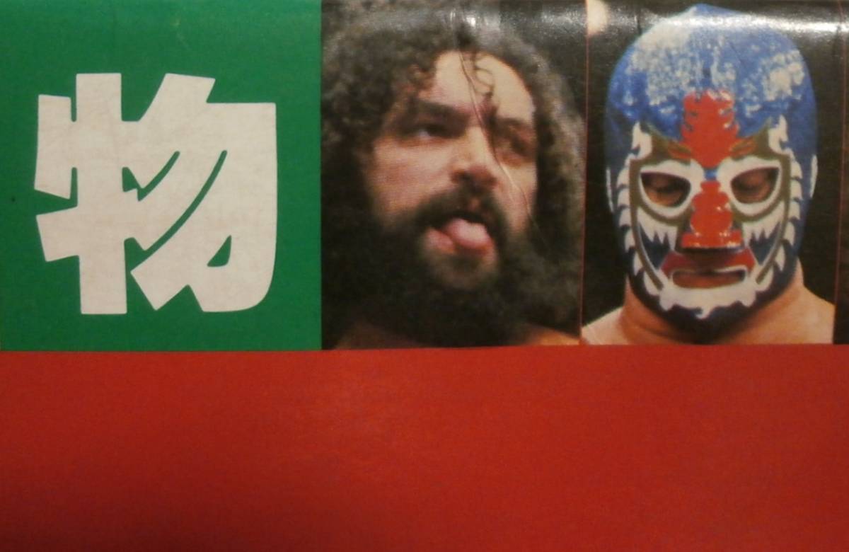 写真集 栄光の輝き 実物大 プロレスチャンピオンベルト 栄光の輝き