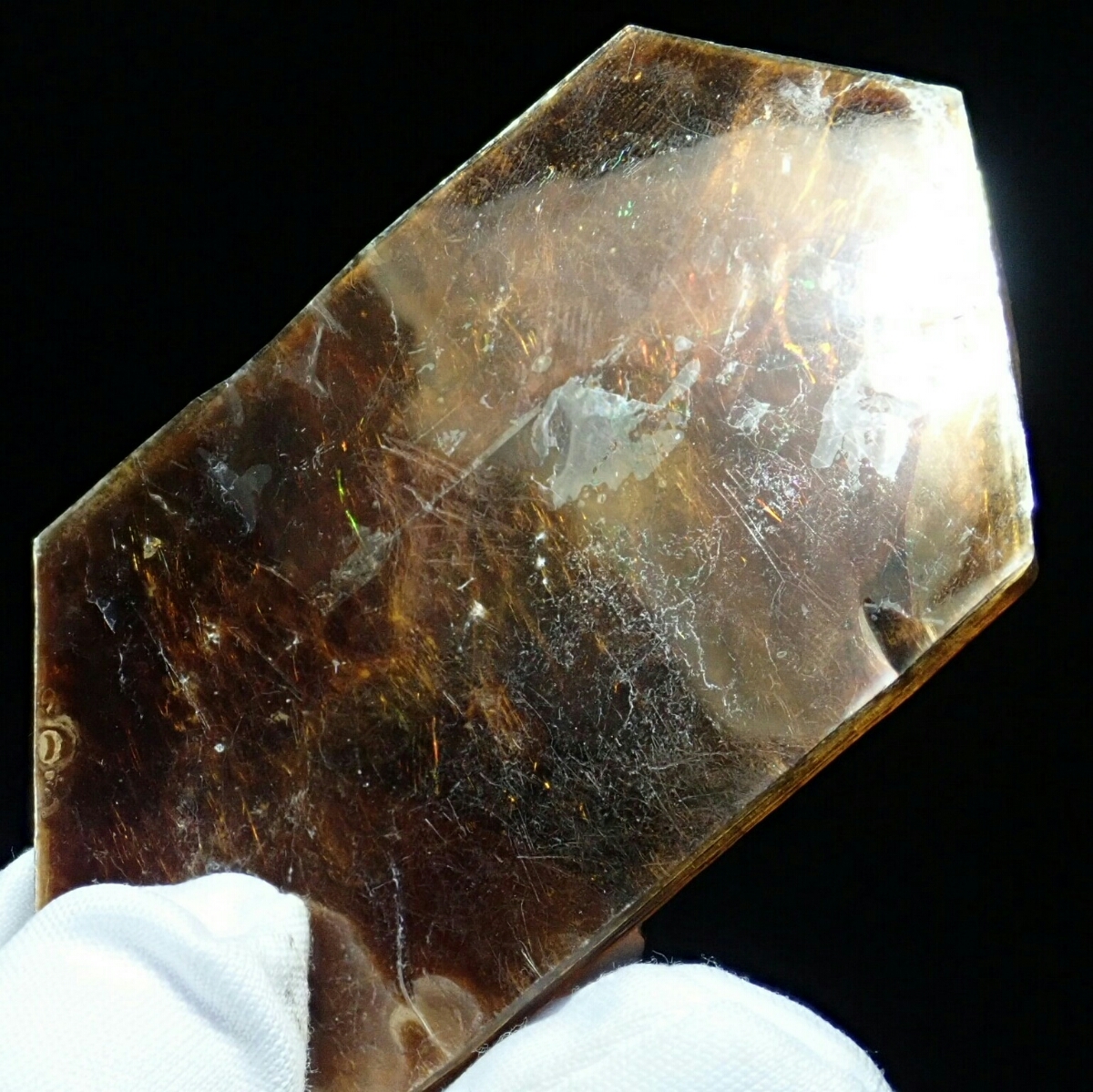 u255920225.4