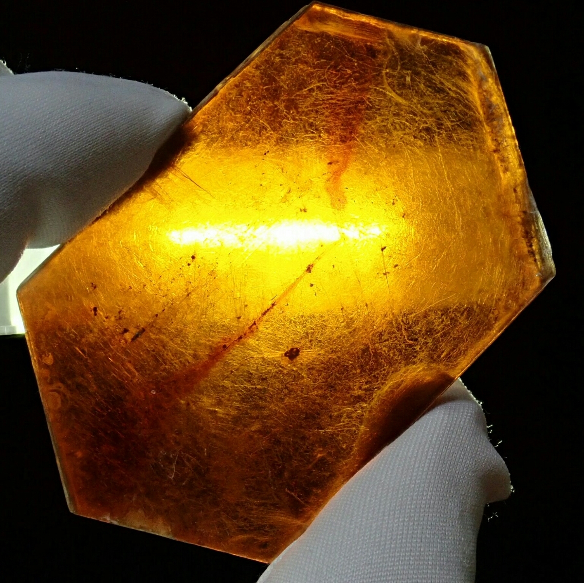 u255920225.5